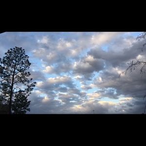 Meet your Posher, Johnny